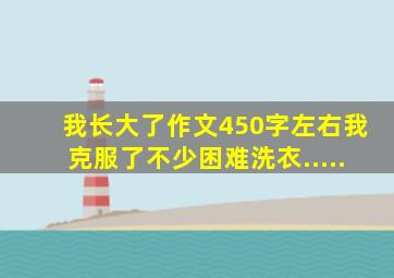 我长大了作文450字左右我克服了不少困难洗衣.....