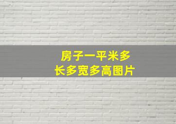 房子一平米多长多宽多高图片