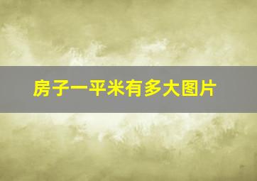 房子一平米有多大图片