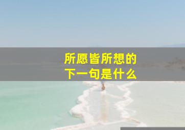 所愿皆所想的下一句是什么