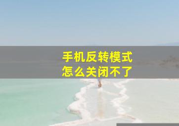 手机反转模式怎么关闭不了