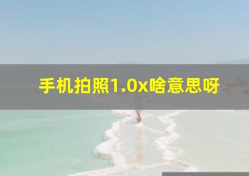 手机拍照1.0x啥意思呀