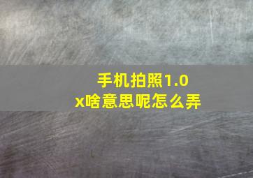 手机拍照1.0x啥意思呢怎么弄