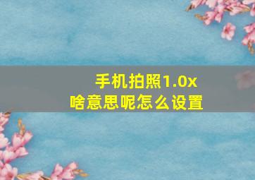 手机拍照1.0x啥意思呢怎么设置