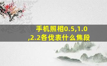 手机照相0.5,1.0,2.2各伐表什么焦段