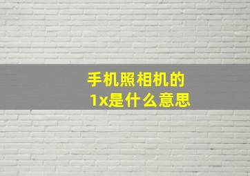 手机照相机的1x是什么意思