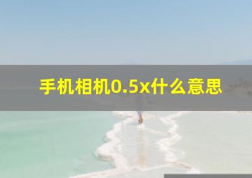 手机相机0.5x什么意思