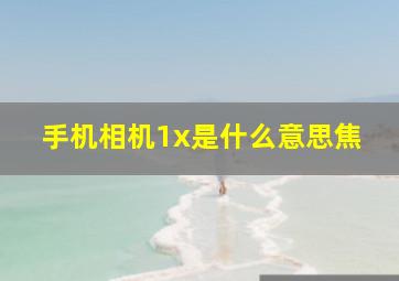 手机相机1x是什么意思焦