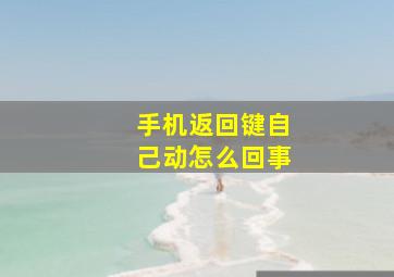 手机返回键自己动怎么回事