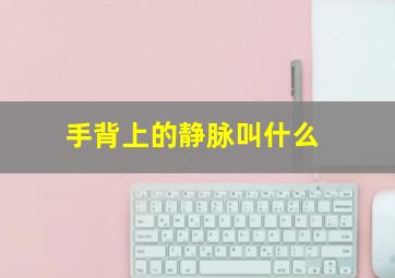 手背上的静脉叫什么