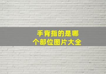 手背指的是哪个部位图片大全