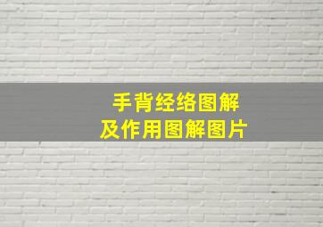 手背经络图解及作用图解图片