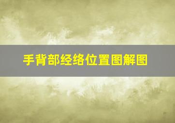 手背部经络位置图解图