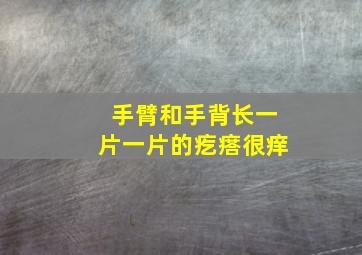 手臂和手背长一片一片的疙瘩很痒