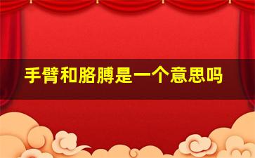 手臂和胳膊是一个意思吗