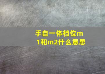 手自一体档位m1和m2什么意思