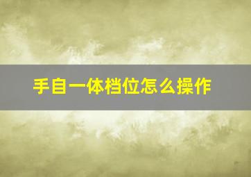 手自一体档位怎么操作