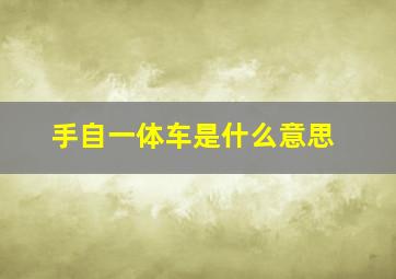 手自一体车是什么意思