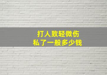 打人致轻微伤私了一般多少钱