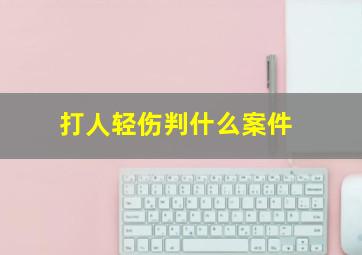 打人轻伤判什么案件