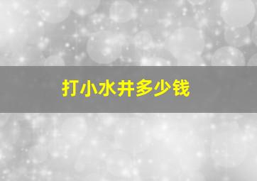 打小水井多少钱