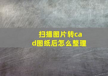 扫描图片转cad图纸后怎么整理