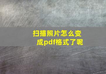 扫描照片怎么变成pdf格式了呢