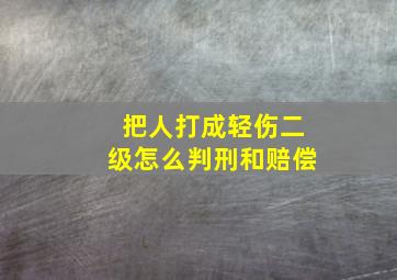 把人打成轻伤二级怎么判刑和赔偿