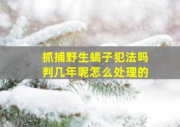 抓捕野生蝎子犯法吗判几年呢怎么处理的