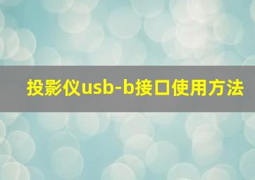 投影仪usb-b接口使用方法