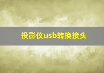 投影仪usb转换接头