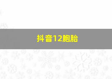 抖音12胞胎