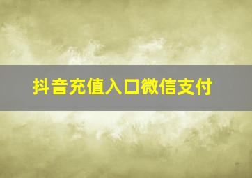 抖音充值入口微信支付