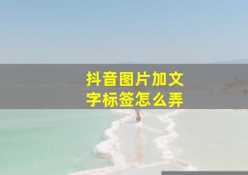 抖音图片加文字标签怎么弄