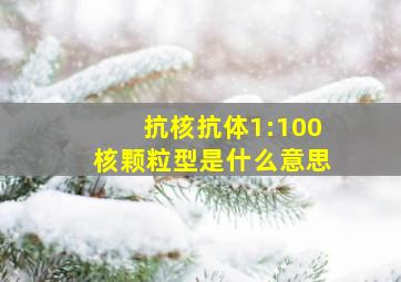 抗核抗体1:100核颗粒型是什么意思