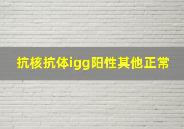 抗核抗体igg阳性其他正常