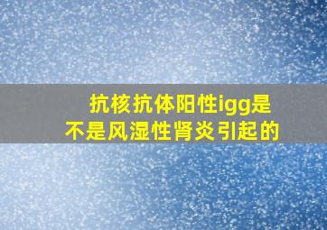 抗核抗体阳性igg是不是风湿性肾炎引起的