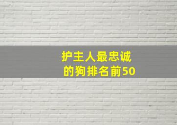 护主人最忠诚的狗排名前50