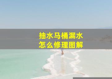 抽水马桶漏水怎么修理图解