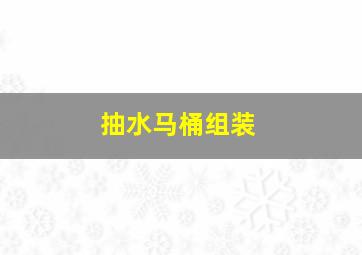 抽水马桶组装