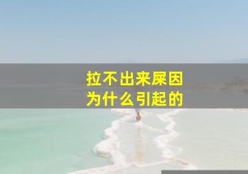 拉不出来屎因为什么引起的