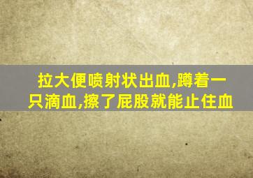 拉大便喷射状出血,蹲着一只滴血,擦了屁股就能止住血