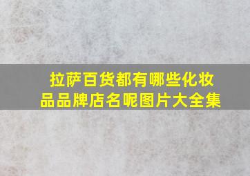 拉萨百货都有哪些化妆品品牌店名呢图片大全集