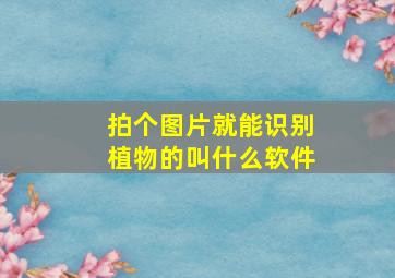 拍个图片就能识别植物的叫什么软件