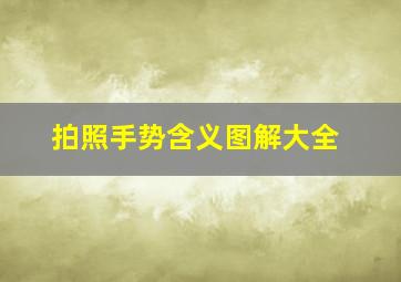 拍照手势含义图解大全