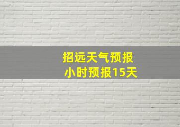 招远天气预报小时预报15天