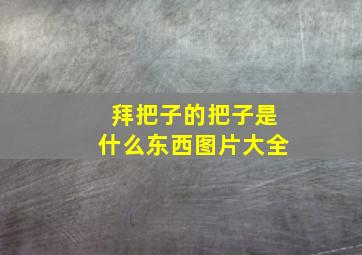 拜把子的把子是什么东西图片大全