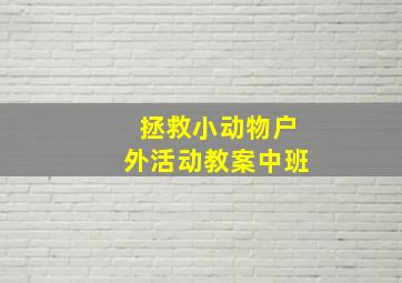 拯救小动物户外活动教案中班