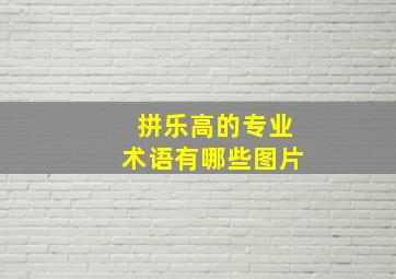 拼乐高的专业术语有哪些图片