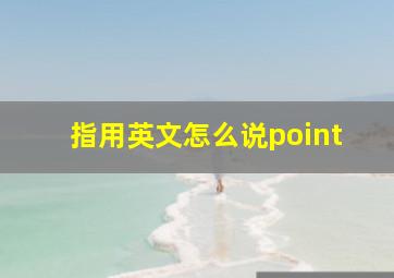 指用英文怎么说point